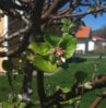 2010-05-18_12.42.00_crop.jpg