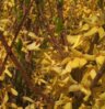 2010-05-18_12.42.27_crop_crop_crop.jpg