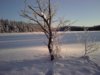 ZTE 028small1.jpg