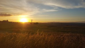 20150829_194914.jpg
