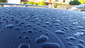 20150908_074749.jpg