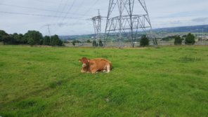 20150830_105835.jpg