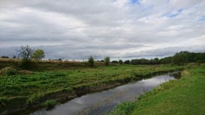 DSC_0014.JPG