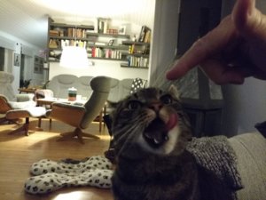 IMG_20151009_201839949.jpg