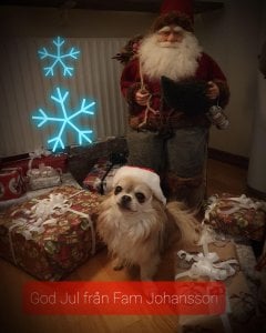 IMG_20201224_120801_536.jpg
