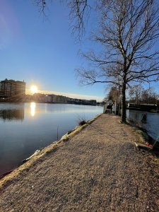 IMG_0172.jpeg