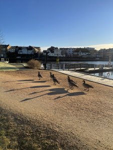 IMG_0179.jpeg