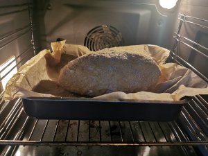 IMG_20201225_141639.jpg