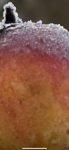 1A28C03F-4EC8-4D50-AAE9-B011A3BAF010.png