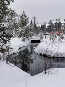 IMG_20201228_124146.jpg