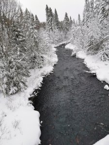 IMG_20201228_130843.jpg