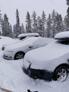 IMG_20201228_095019.jpg