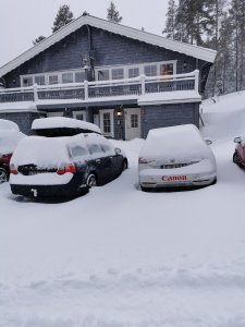 IMG_20201228_095052.jpg