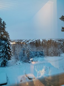 IMG_20201229_085357.jpg