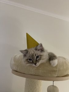 03CF37BC-6289-41DF-9764-57D1677C0A9F.jpeg
