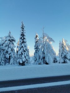 IMG_20210103_101923.jpg