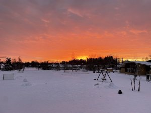 3BD8270E-A32D-4B80-A563-6A56F5CA9B8F.jpeg
