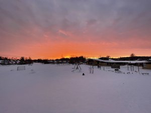 8169CC65-43D4-475D-8A04-8C94F01CBBA4.jpeg