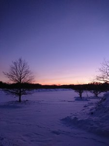 DSC_0828.JPG