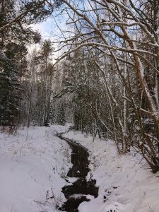 DSC_0795.JPG