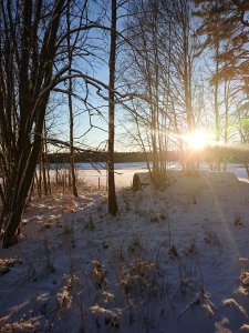 DSC_0839.JPG