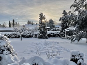 IMG_2768.jpg