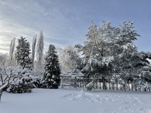 IMG_2770.jpg