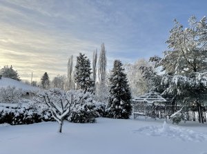 IMG_2771.jpg