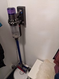 PXL_20210119_174654953.MP.jpg