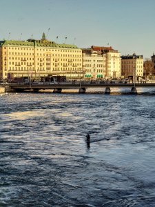 DSC_0203.JPG