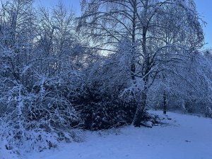 IMG_0151.jpg