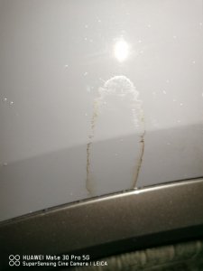 IMG_20210125_081946_395.jpg