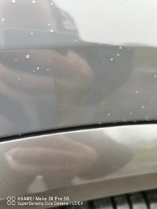 IMG_20210125_094800.jpg