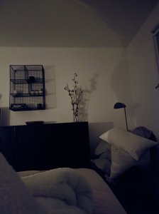 IMG_20210126_221858.jpg