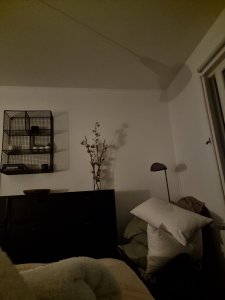 20210126_221915.jpg