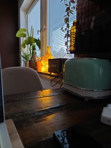 DSC_0473.JPG