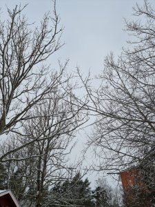 20210127_133010.jpg