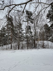 20210127_133225.jpg