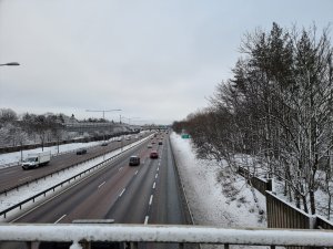 20210127_135116.jpg