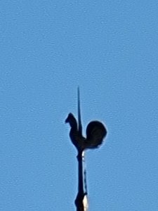 20210127_111358.jpg