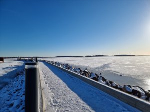 20210127_115712.jpg