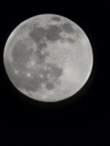 20210127_181558.jpg