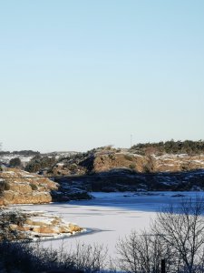 IMG_20210129_095619.jpg