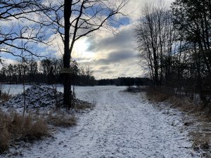IMG_0346.JPG