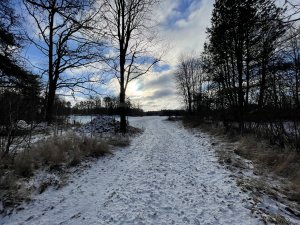 IMG_0347.JPG