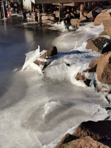IMG_20210129_110820.jpg
