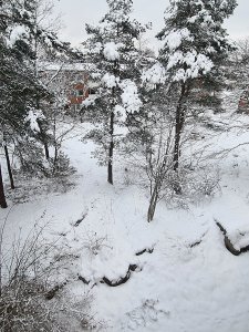 20210129_143111.jpg
