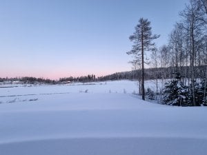 20210131_080411.jpg