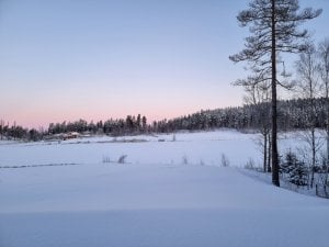 20210131_080416.jpg