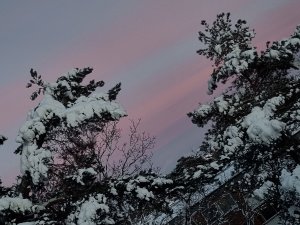 20210130_161116.jpg